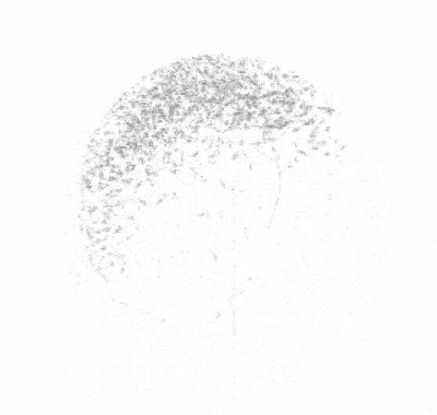 hasard-daniel-dessin